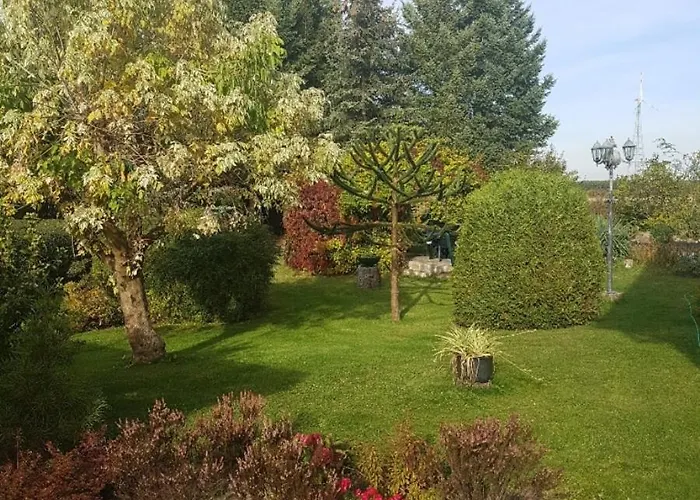 Blick zum See