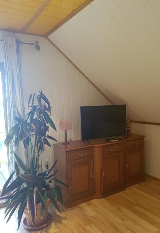 Blick Zum Apartment
